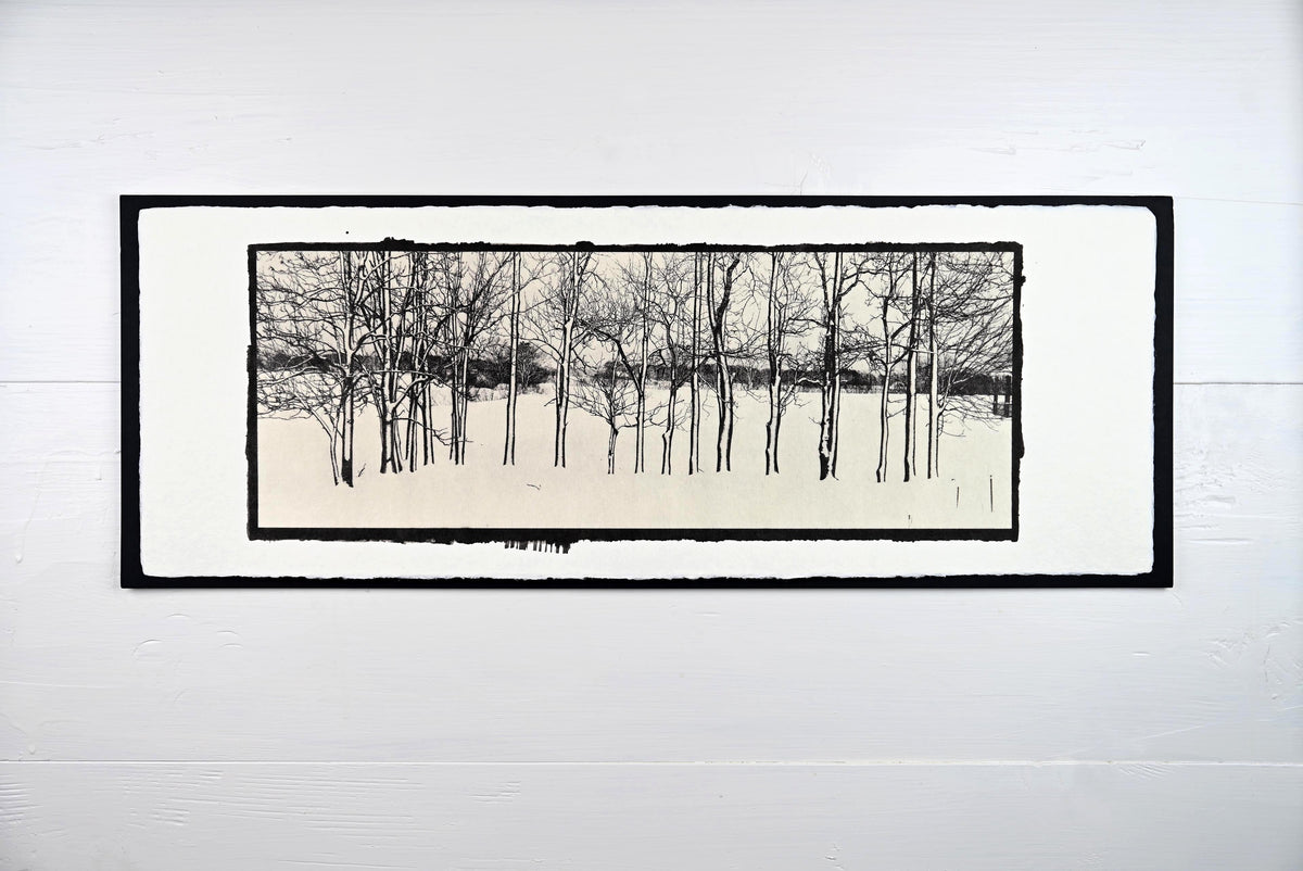 Winter Trees