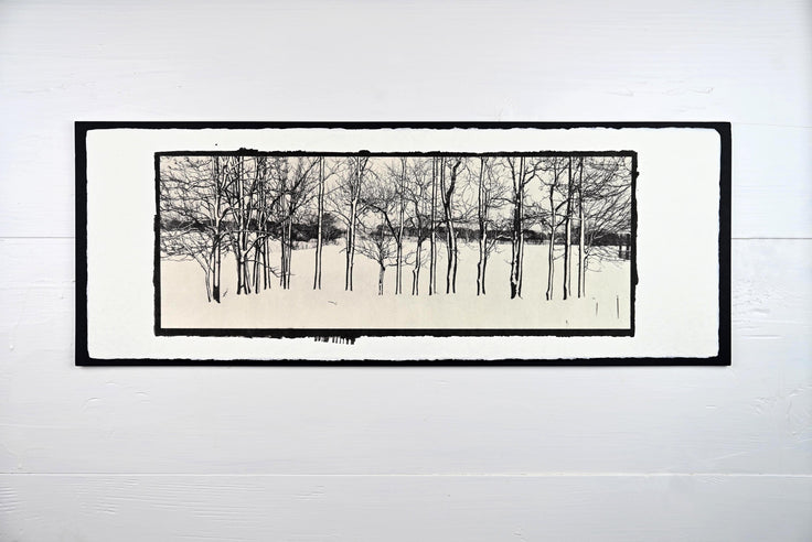 Winter Trees