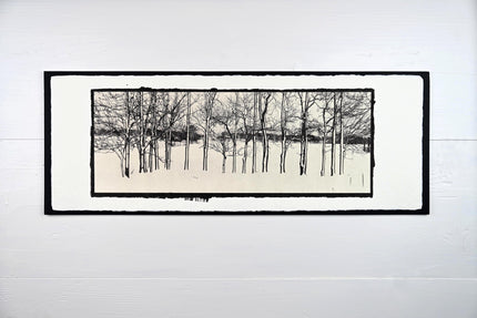 Winter Trees