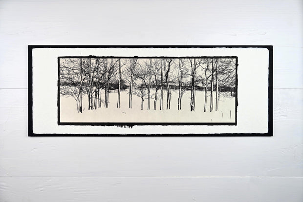 Winter Trees