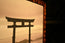 TORII - for Tsuitate (Partitioning Screen)