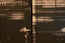 GION - for Fusuma (paper sliding door)