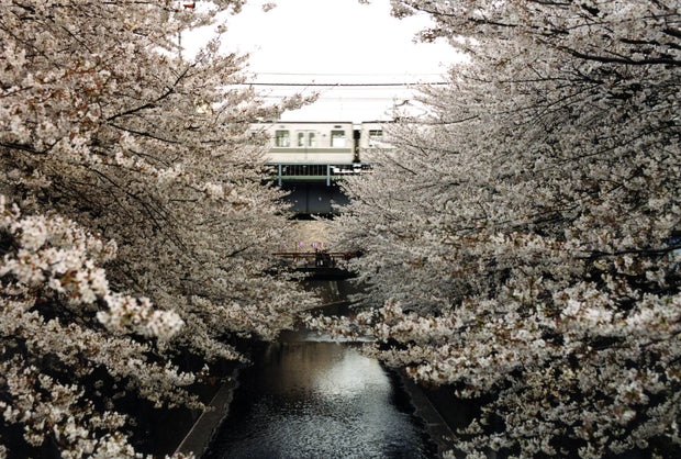 Meguro