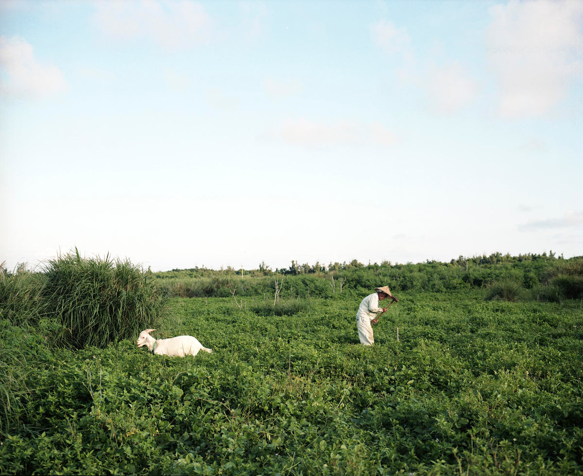 Farmer and His Goat