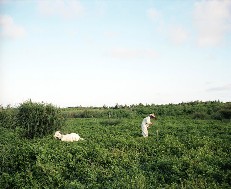 Farmer and His Goat