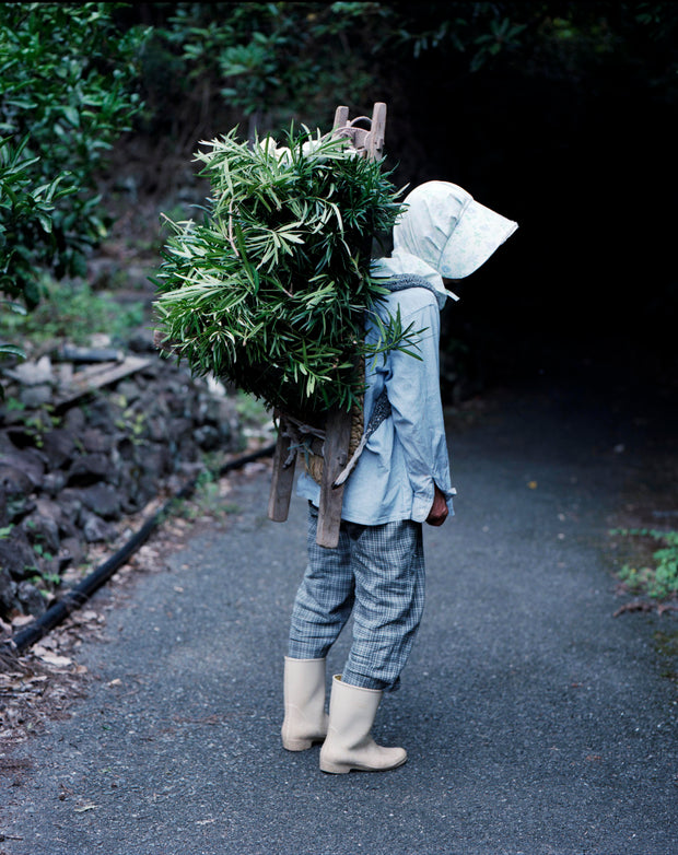 Farmer
