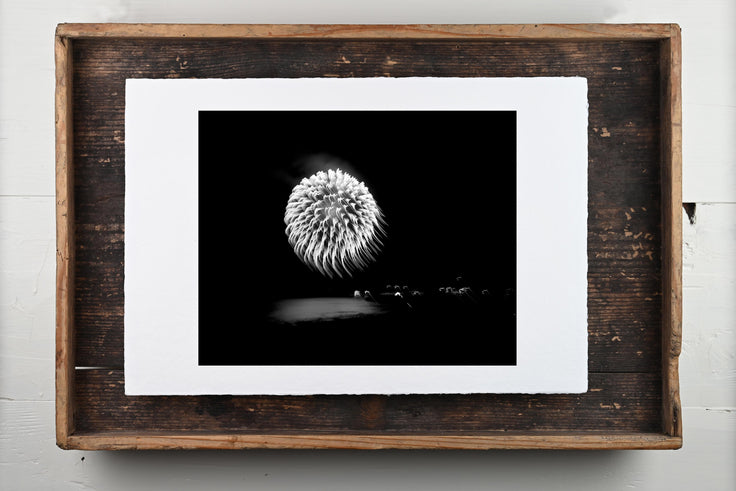 Hanabi