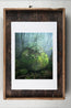 Moss Rock